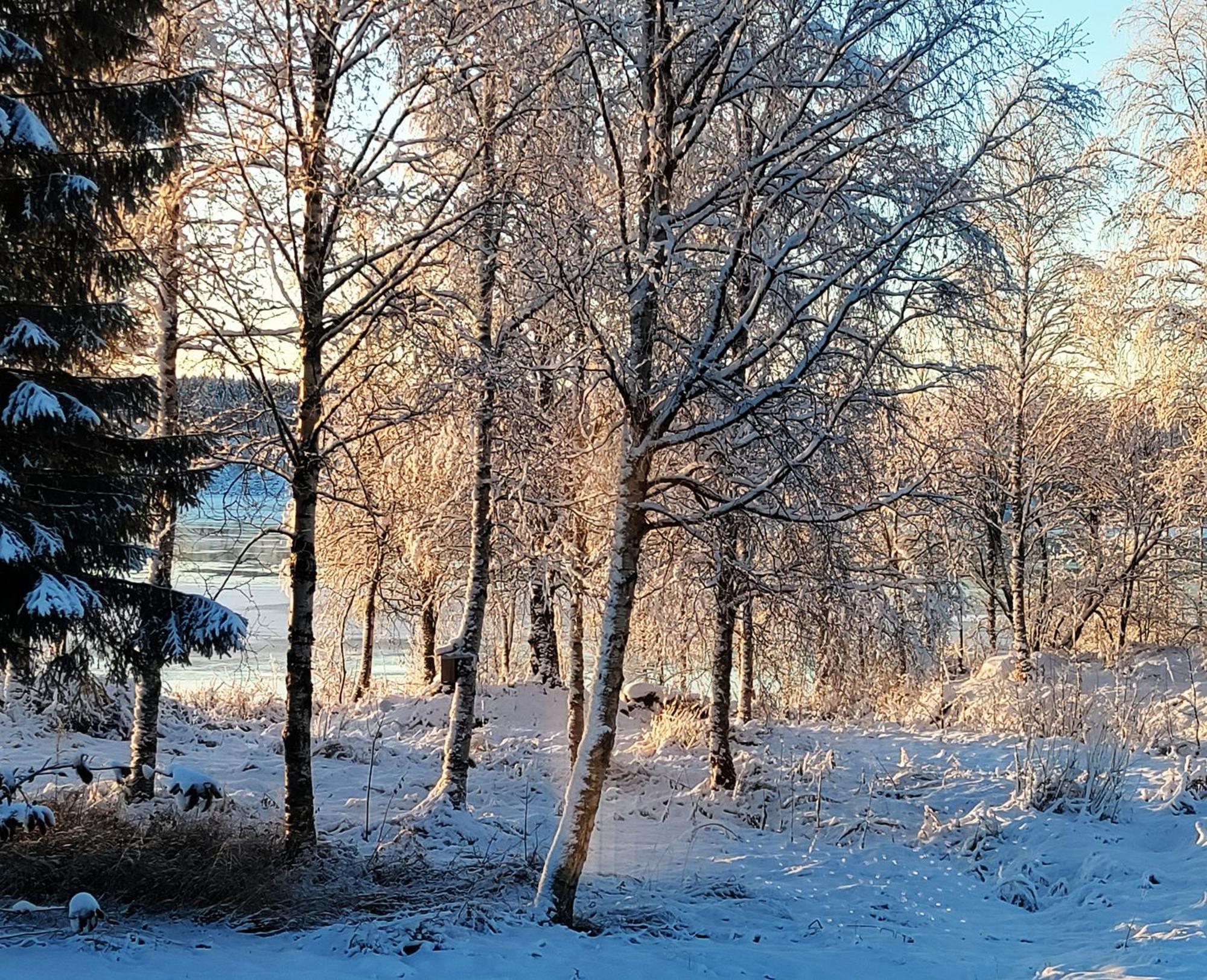 Villa Puistola & Sauna, Near Santa'S Village Rovaniemi Exteriör bild